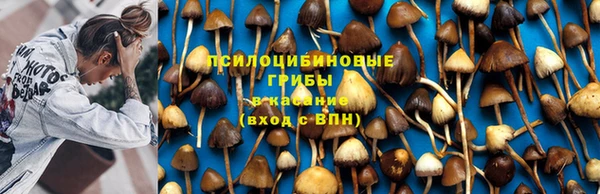 гашиш Белокуриха